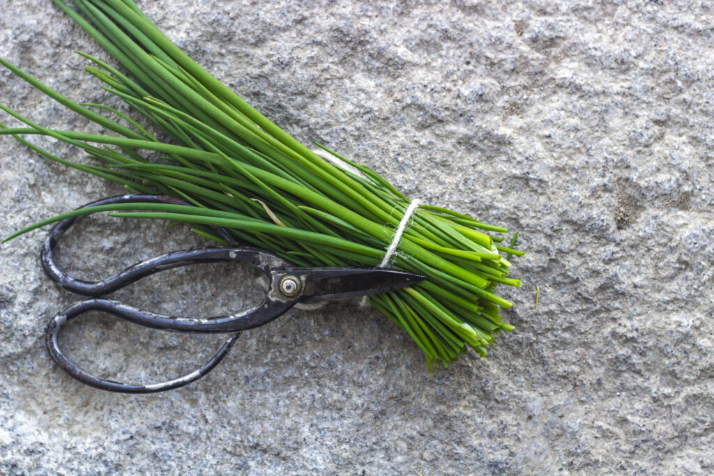 Sådan laver du kryddersmør med purløg