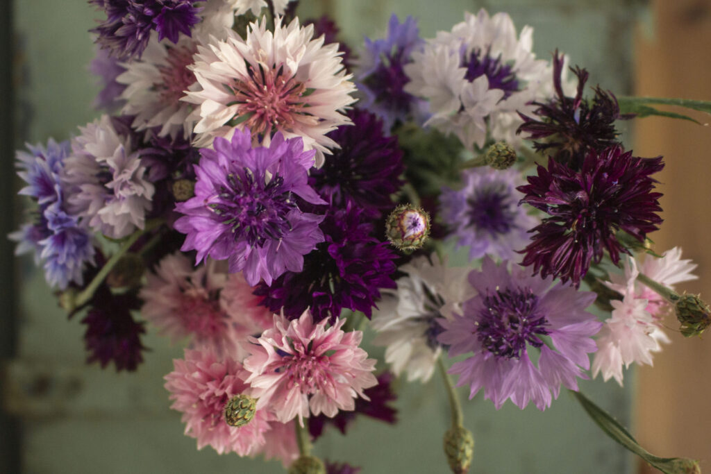 Blomstringstid & buketter