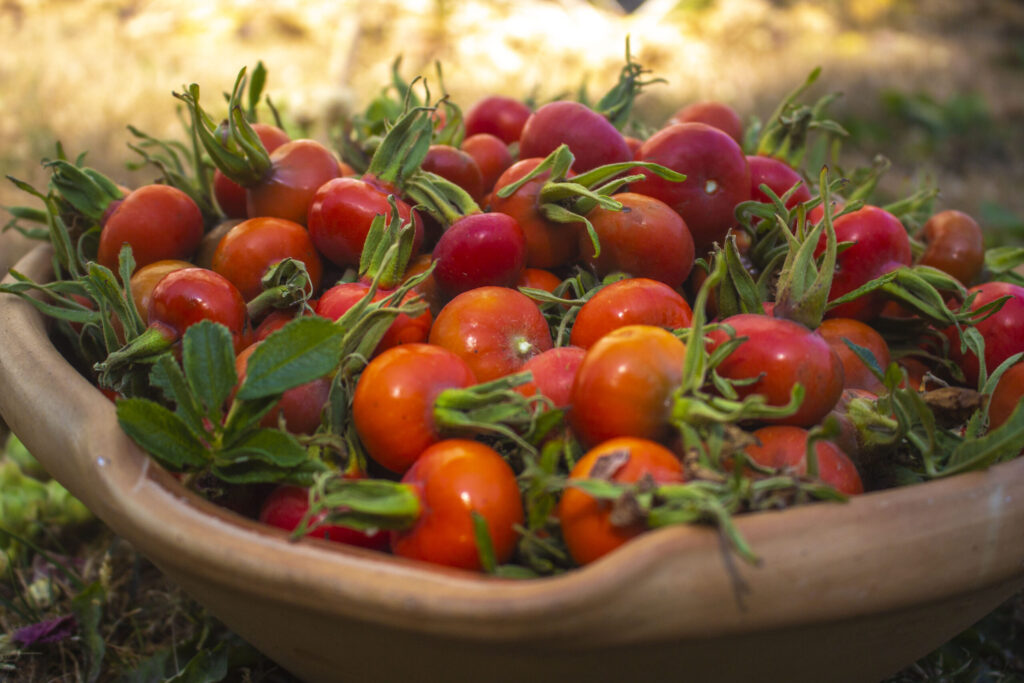 De sødeste syltede hyben