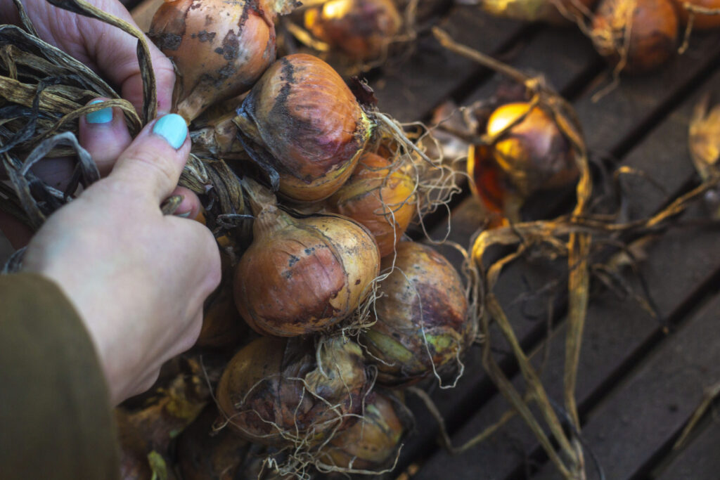 Et fravalg af hvad