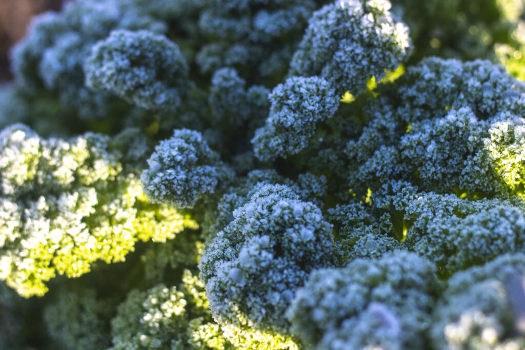 Det begynder med planlægning