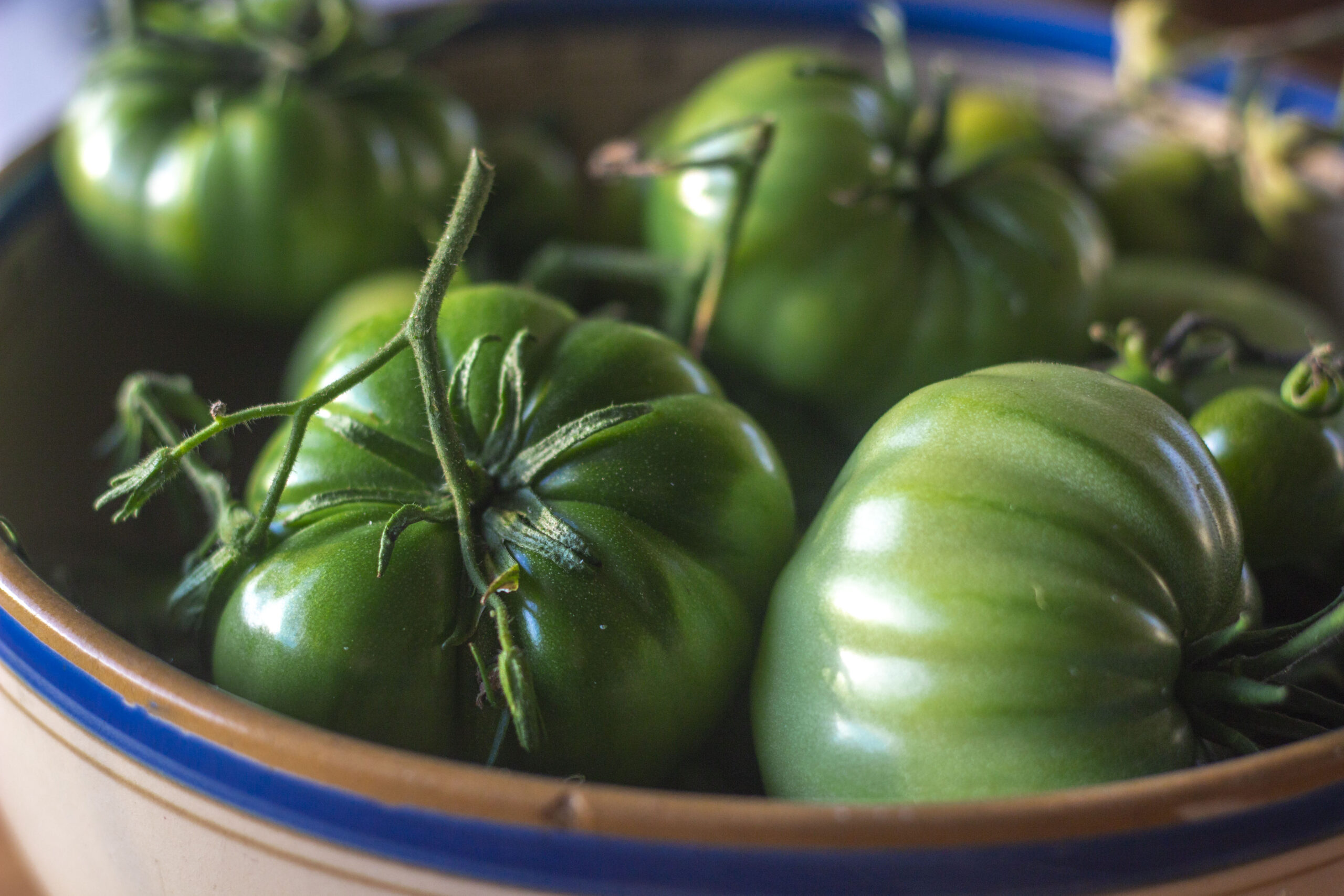 Krydrede & søde – Opskrift på syltede, grønne tomater