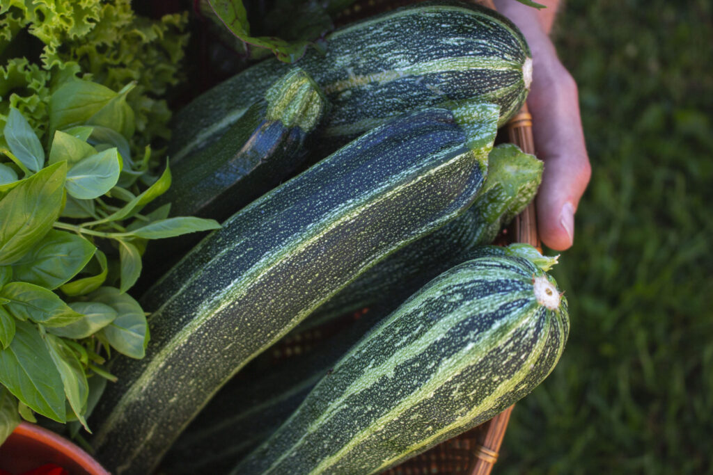 squash