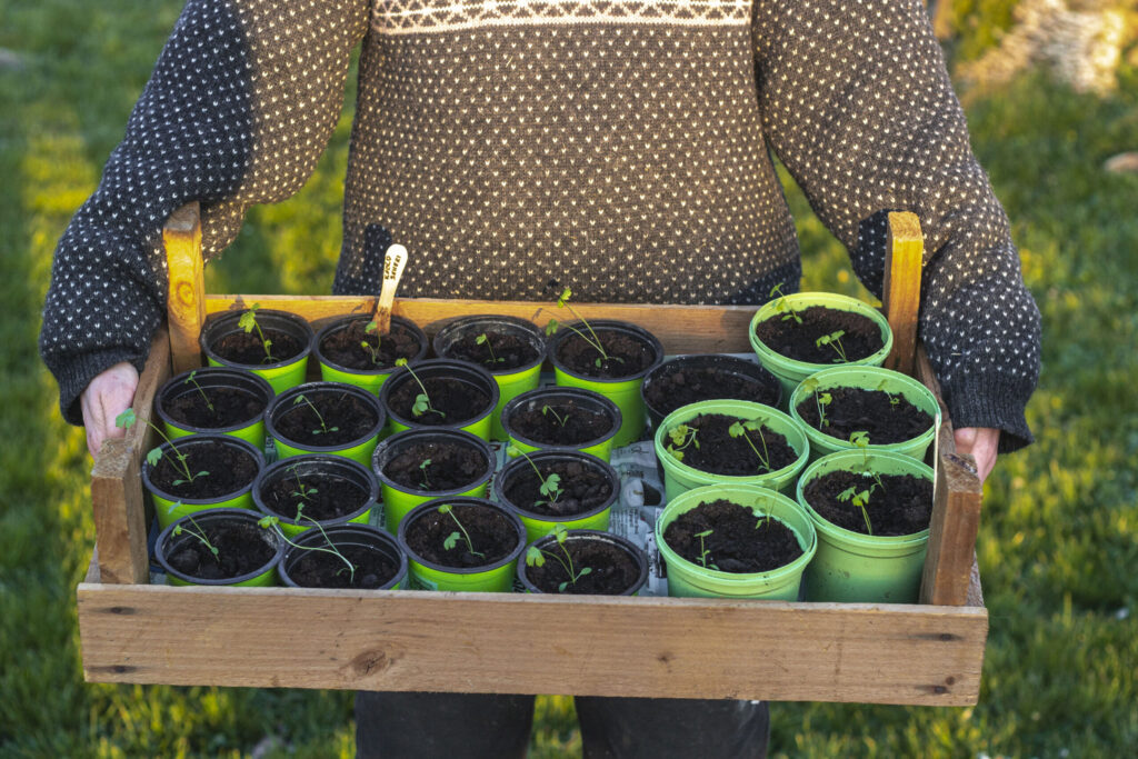 Haven-i-april-er-en-travl-måned