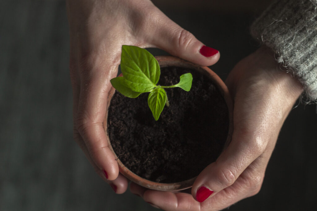 hærdning-og-prikling