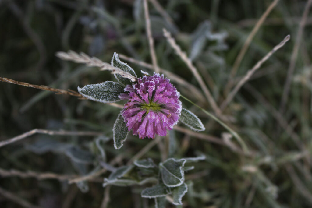 Haven i november