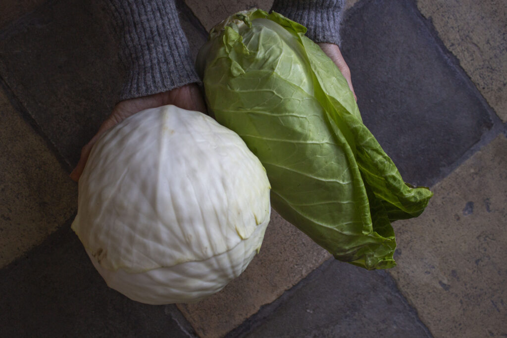 Hjemmelavet sauerkraut – Kom godt i gang