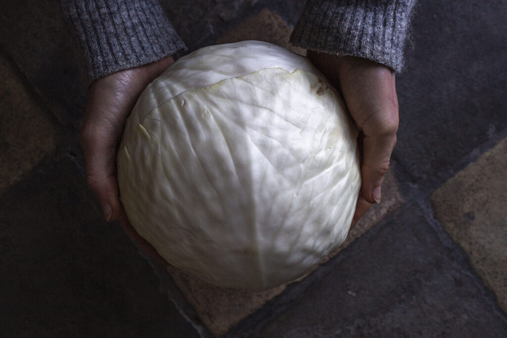 Surkål, sauerkraut og fermenteret kål