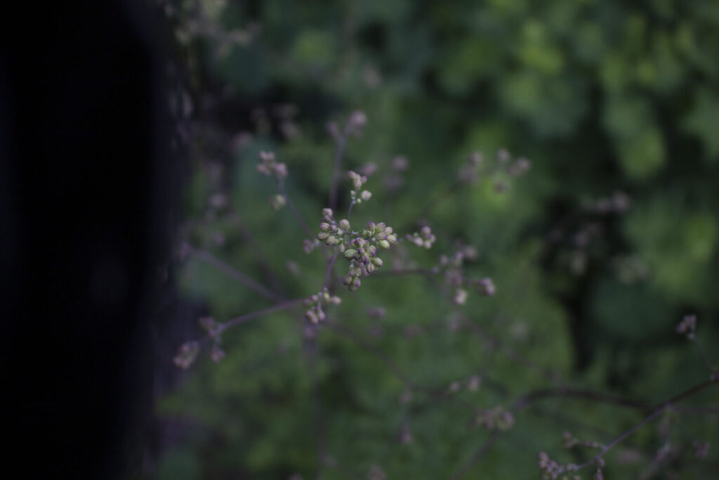 Der er mange muligheder for variationer, hvis du overvejer andet end blomsterfarver i bedet.