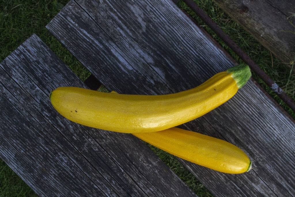 Squash kan blive meget store, men de små smager af mest.