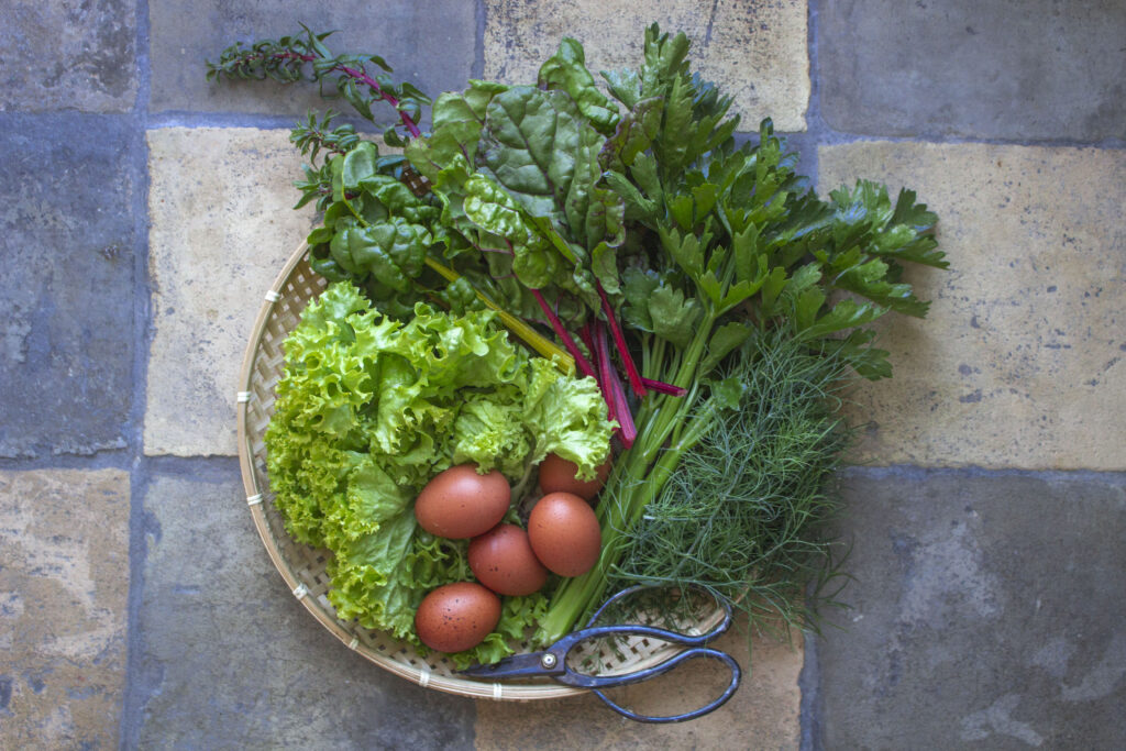 Du kan så salat sidst på sommeren