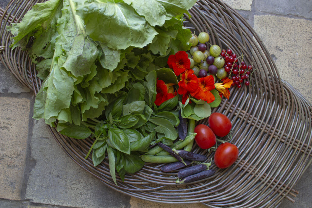 Pasning af salat er nemt