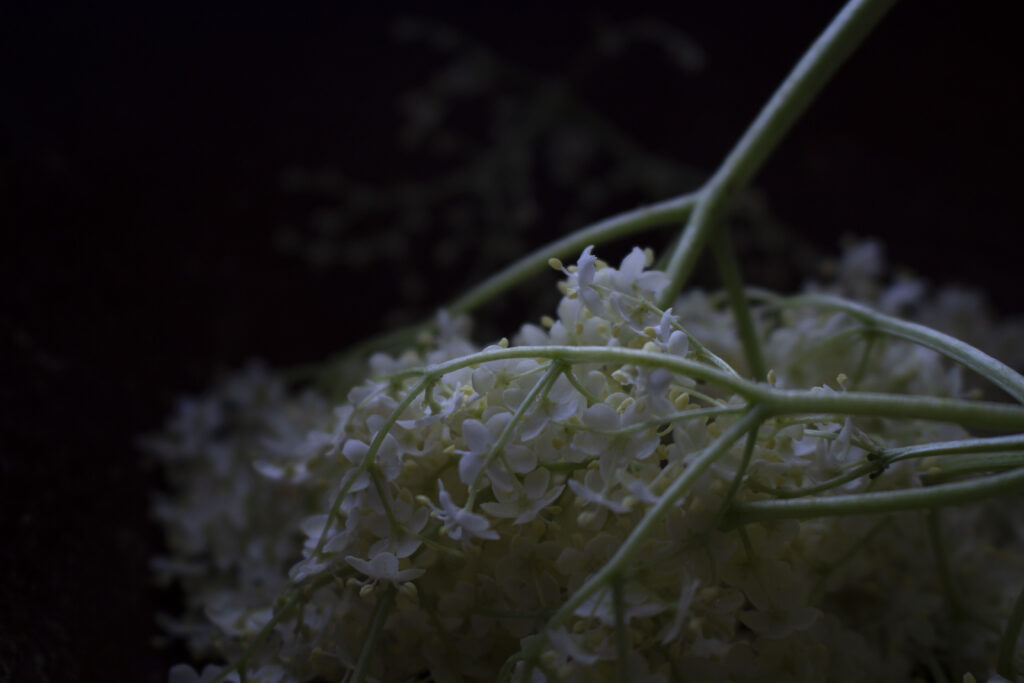 3 tips til bartenderen