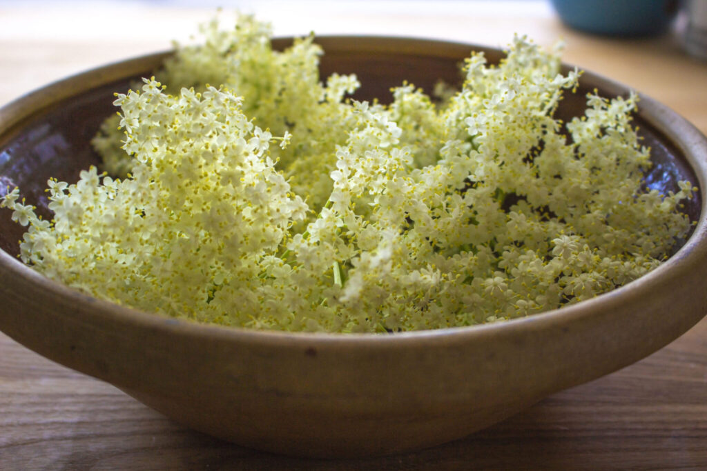 Hvorfor blande sin egen te med hyldeblomst