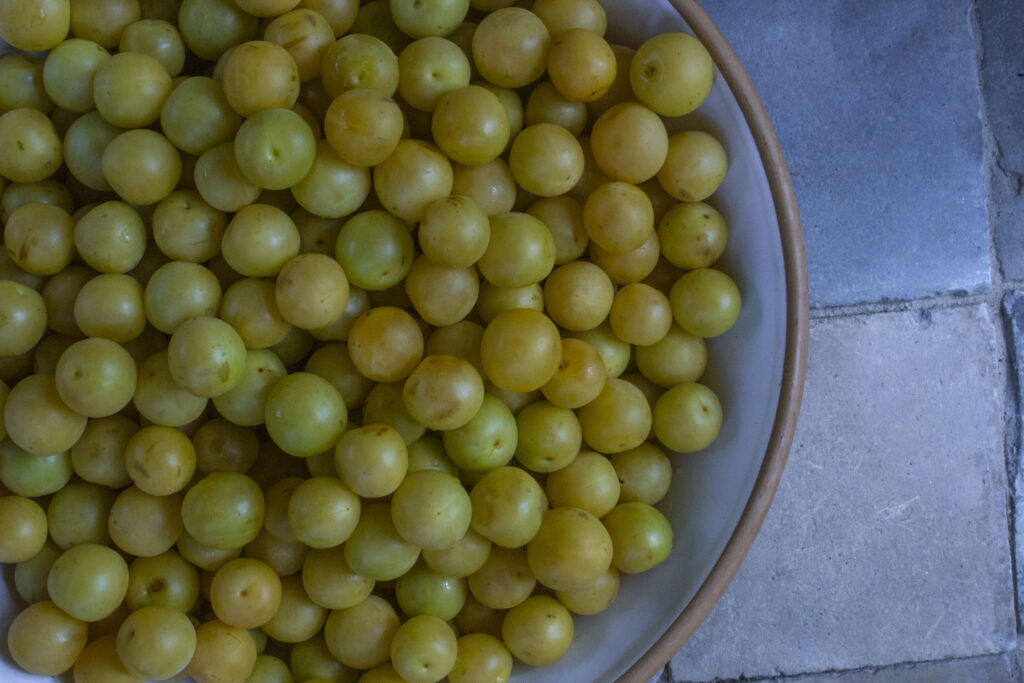 Sådan laver du marmelade med mirabeller