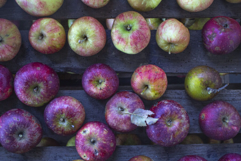 Varier opskriften med årstidens frugt