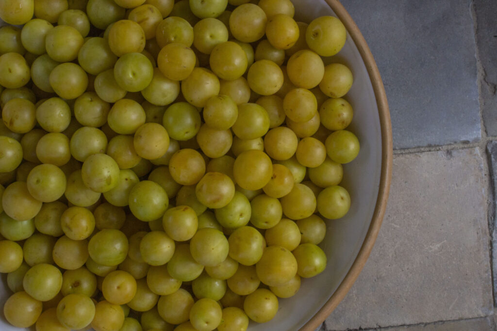 Nem opskrift på mirabellechutney