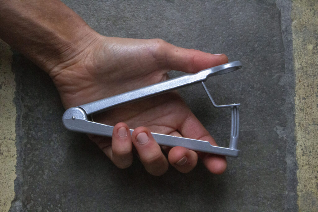 Sådan laver du mirabellechutney