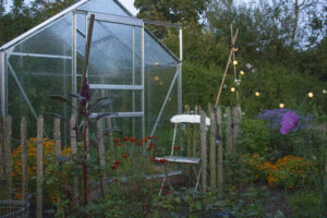 rengøring af drivhus