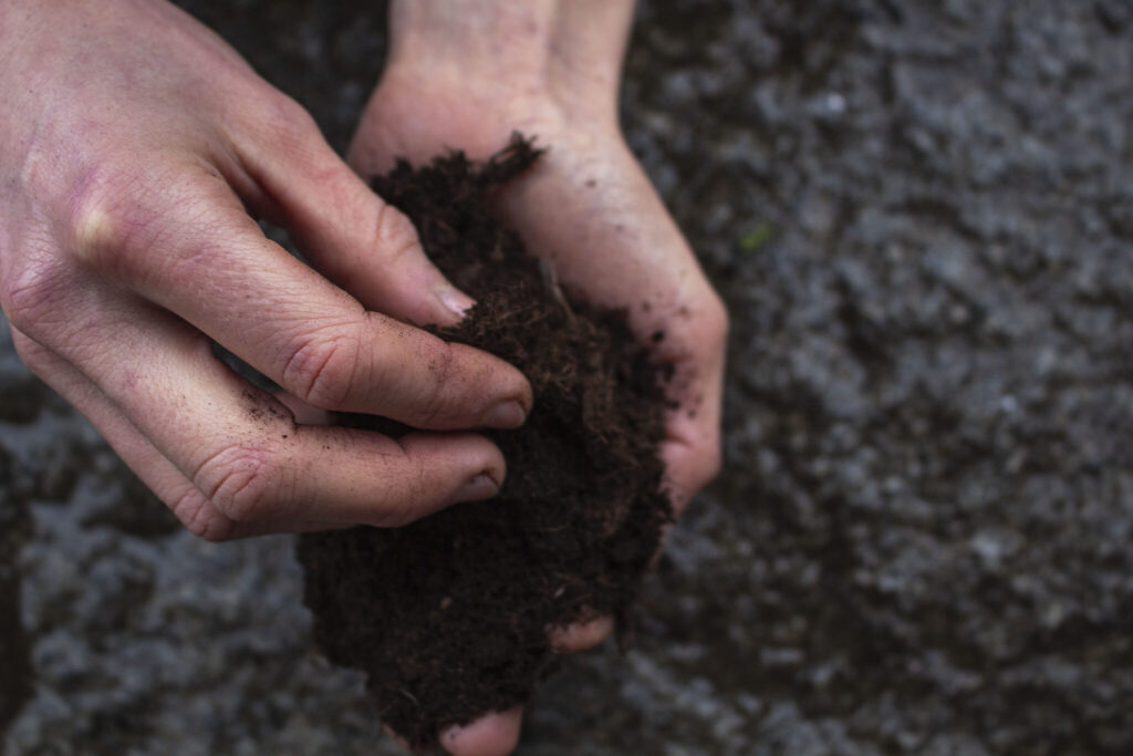 Kom godt fra start med udplantning