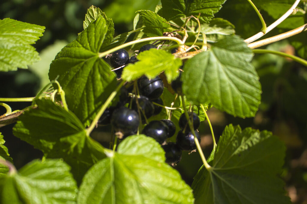 Skab hyggelige kroge