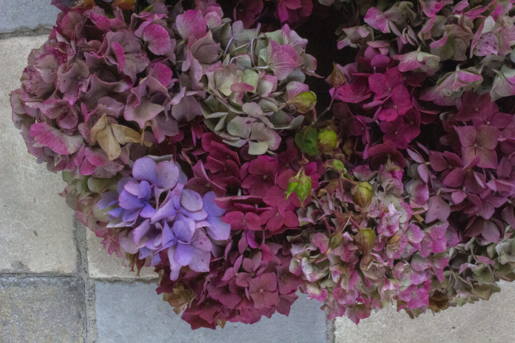 Hortensia kan have mange farver, som du kan blande i kransen.