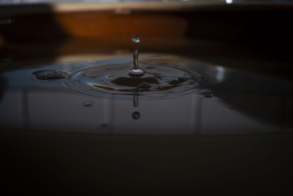 Min bedste opskrift på hyldeblomstsaft