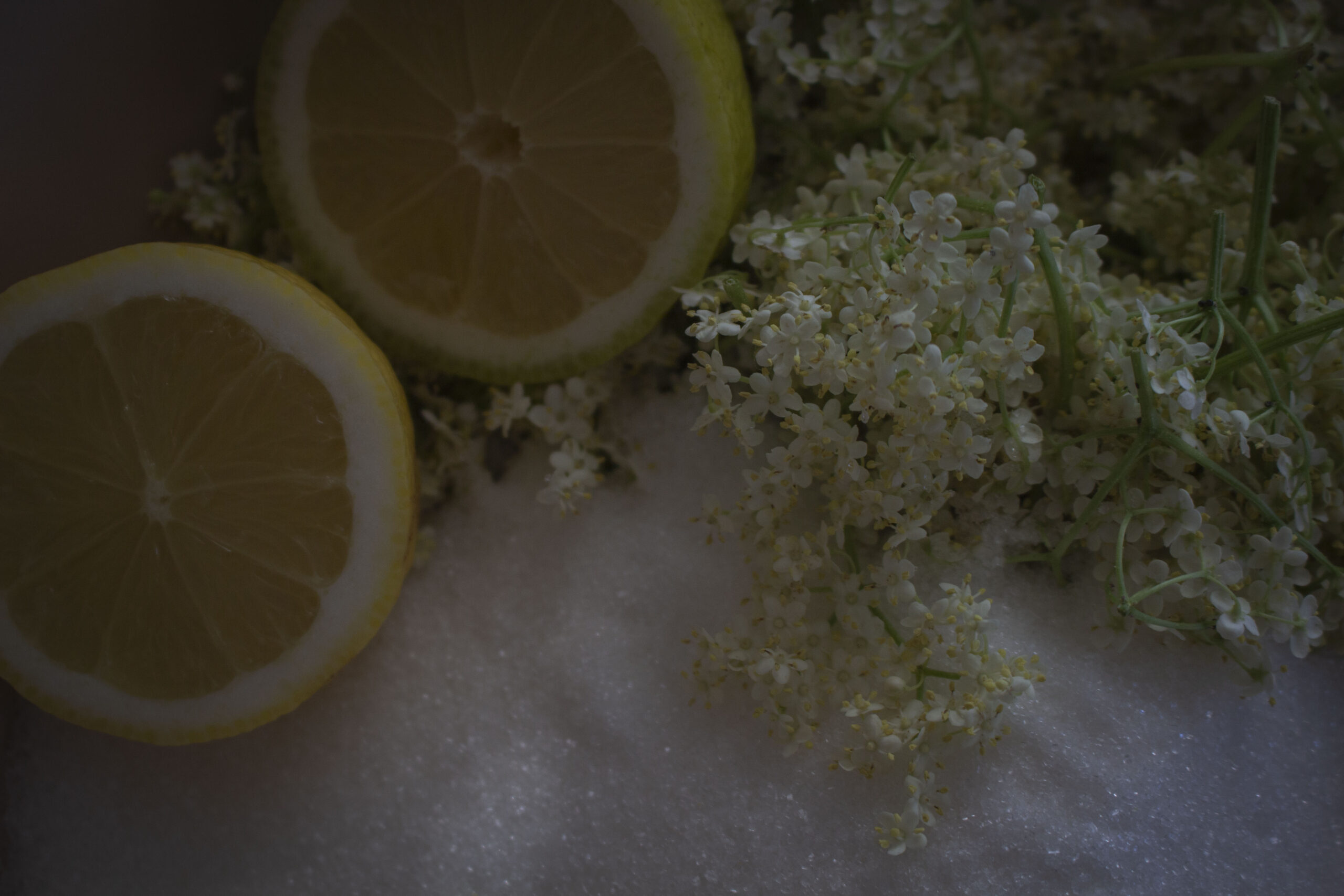 Min bedste opskrift på hyldeblomstsaft