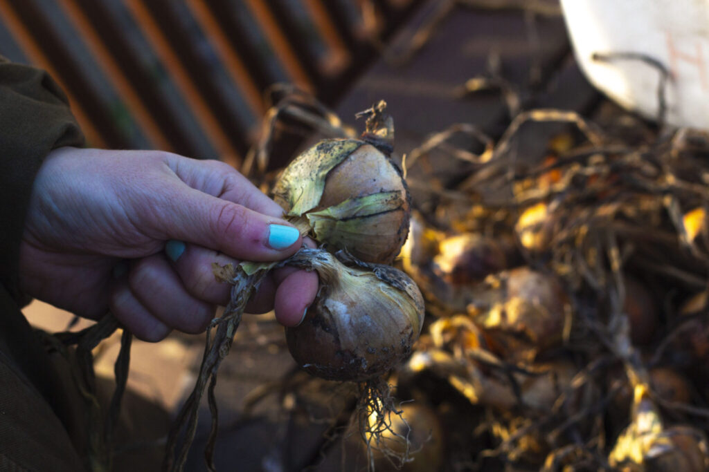 Sådan fletter du en løgranke