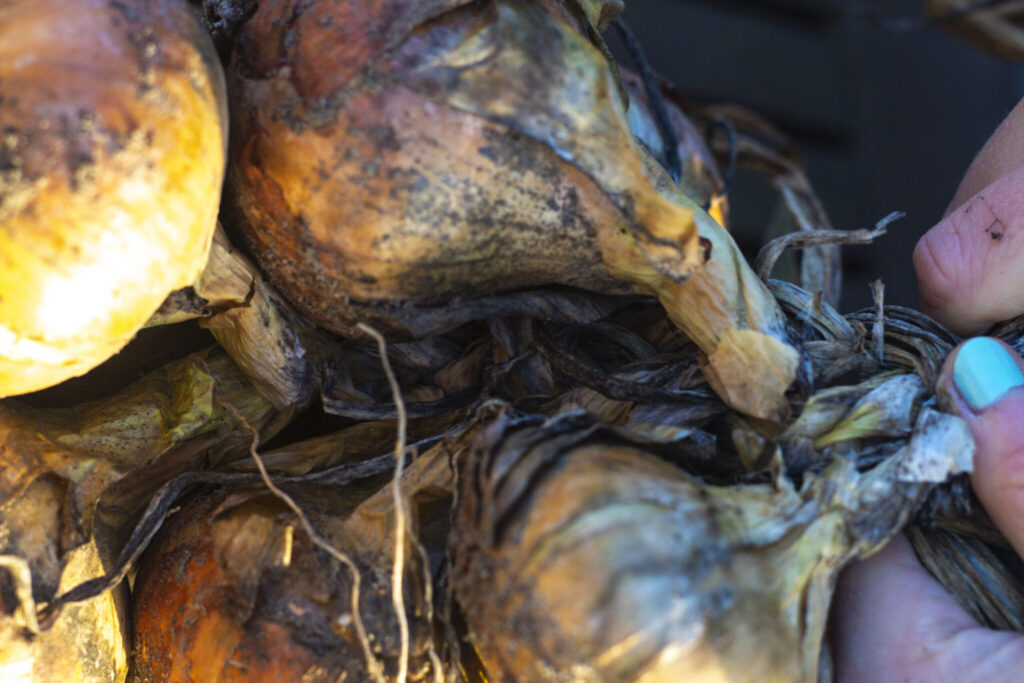 Sådan fletter du en løgranke